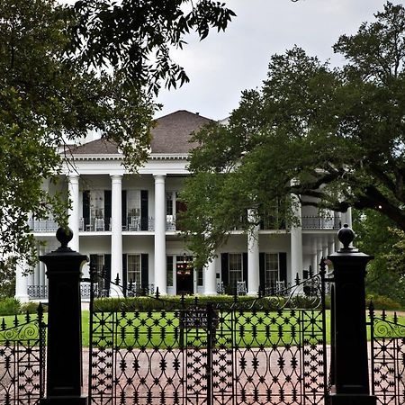 Dunleith Historic Inn Natchez Extérieur photo