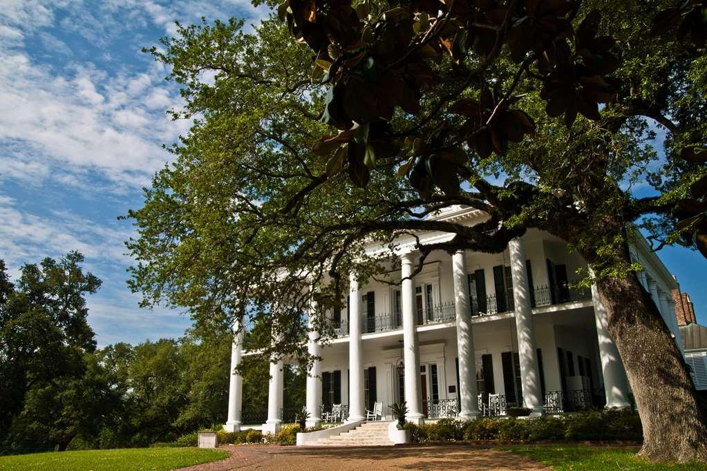 Dunleith Historic Inn Natchez Extérieur photo