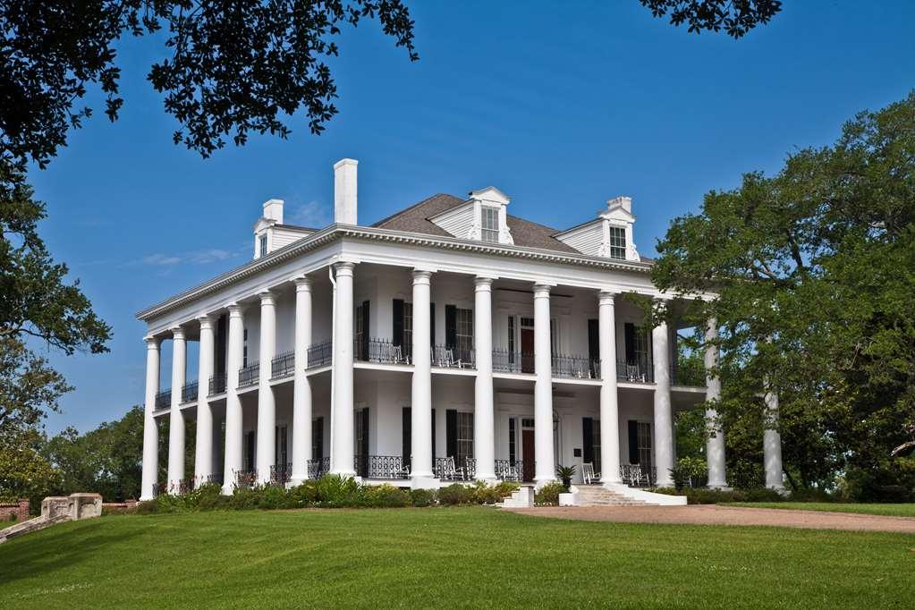 Dunleith Historic Inn Natchez Extérieur photo