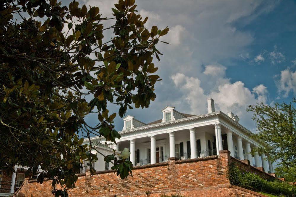 Dunleith Historic Inn Natchez Extérieur photo