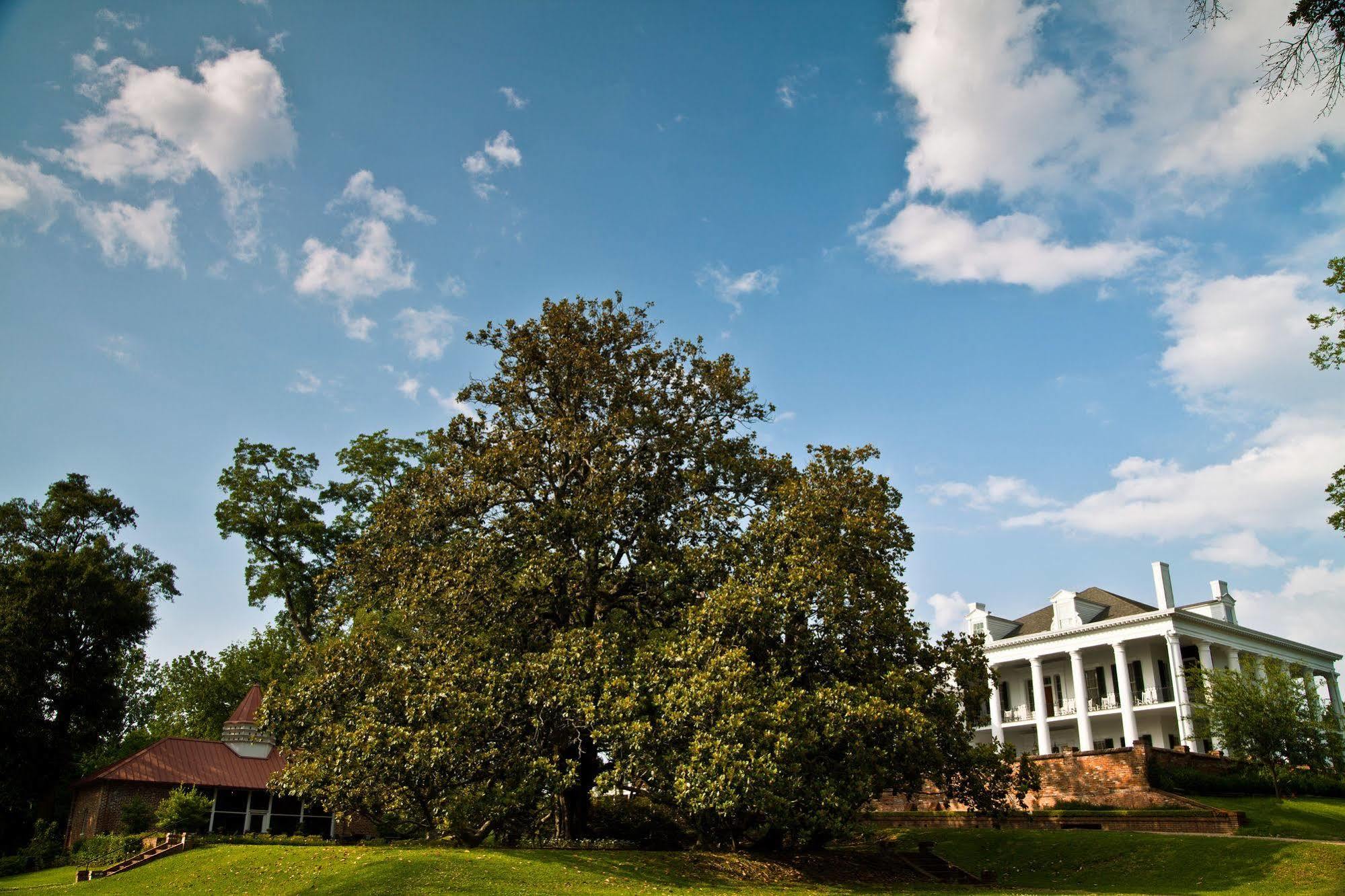 Dunleith Historic Inn Natchez Extérieur photo