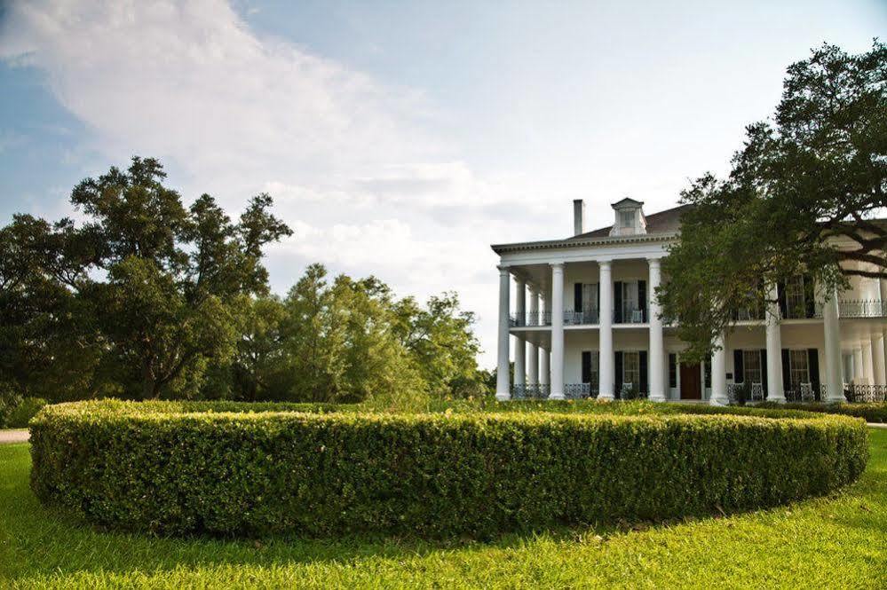 Dunleith Historic Inn Natchez Extérieur photo